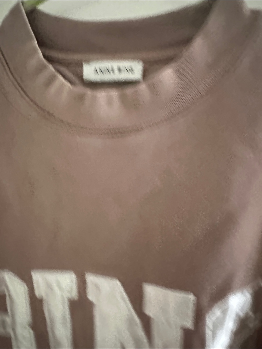 ANINE BING Men's Mauve Crewneck with White BING Applique - Picture 3 of 5